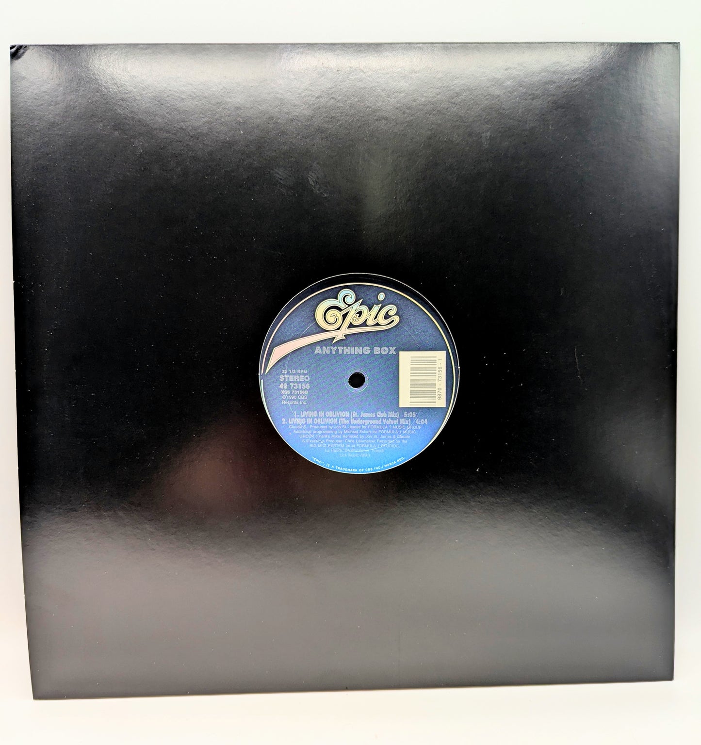 The Anything Box-Living In Oblivion (single)(used)