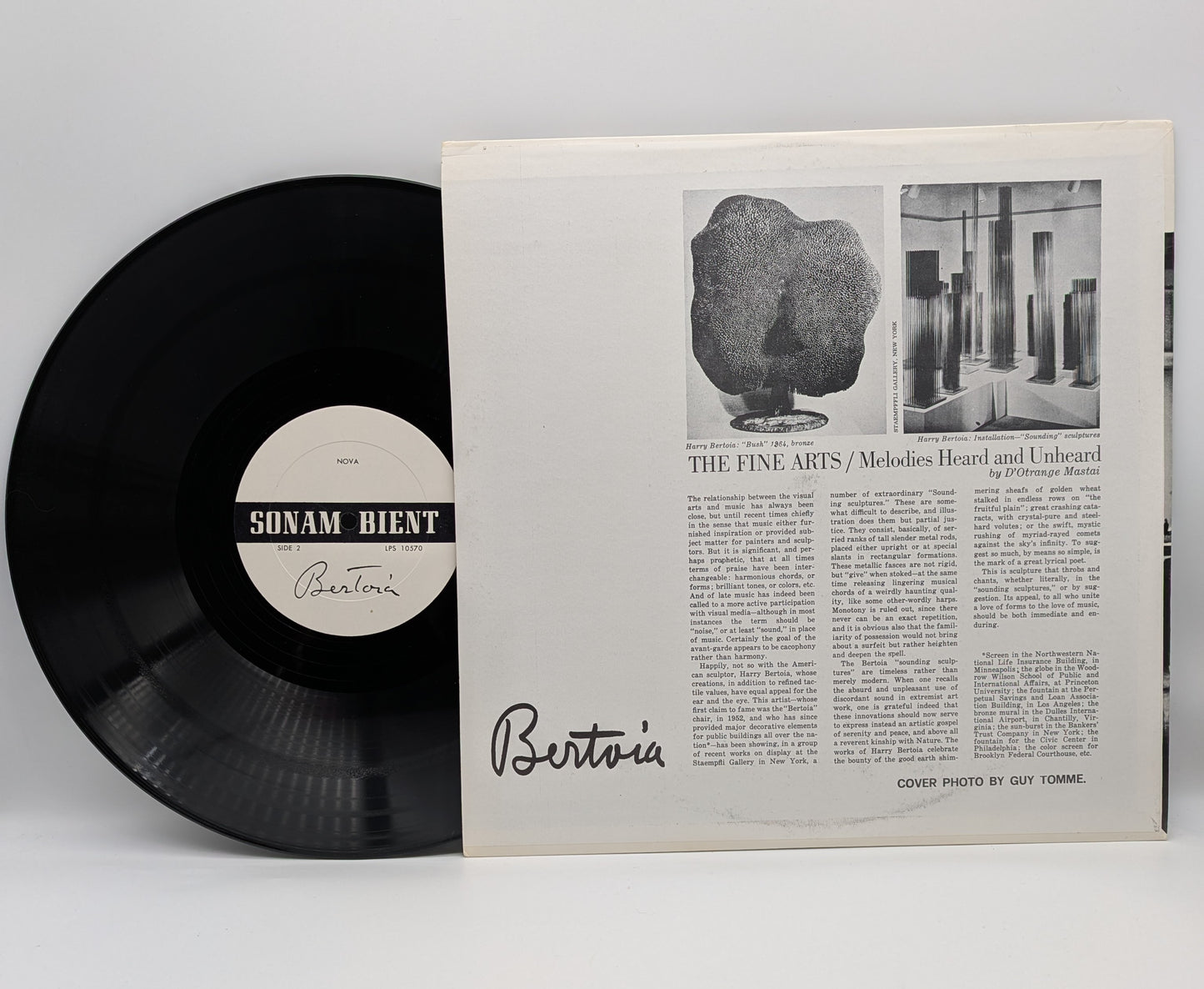 Bertoia-Bellissima Bellissima Bellissima/Nova (used)