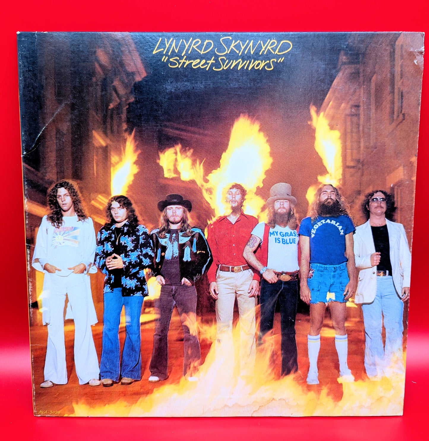 Lynyrd Skynyrd-Street Survivors (used)1