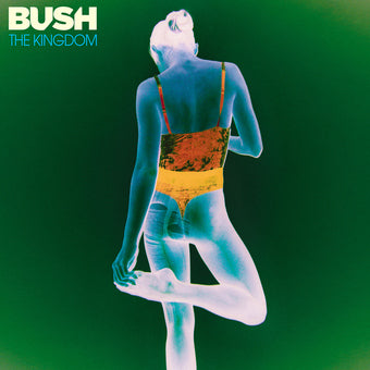 Bush-KINGDOM