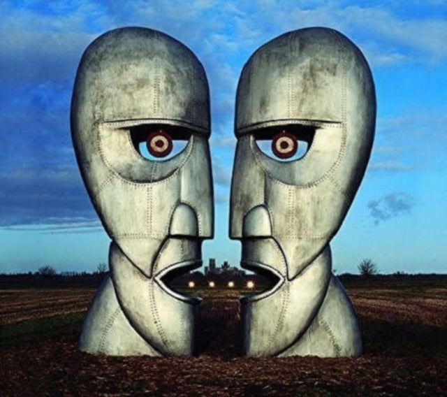 Pink Floyd-DIVISION BELL (180G)