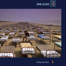Pink Floyd-MOMENTARY LAPSE OF REASON (180G/GATEFOLD) (2016)