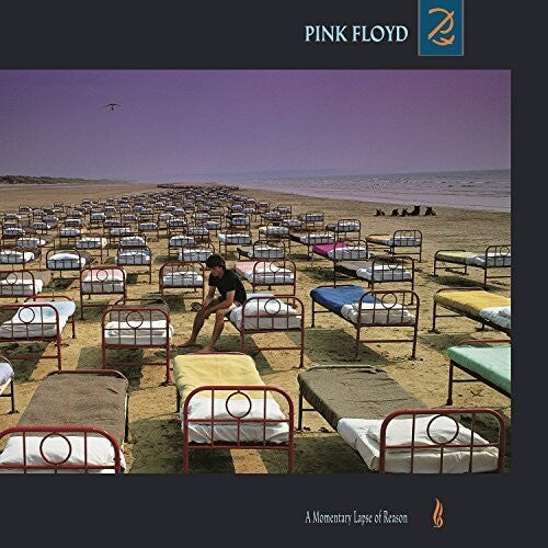 Pink Floyd-MOMENTARY LAPSE OF REASON (180G/GATEFOLD) (2016)