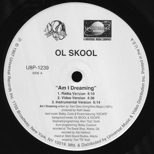 Ol' Skool-Am I Dreaming (single)(used)