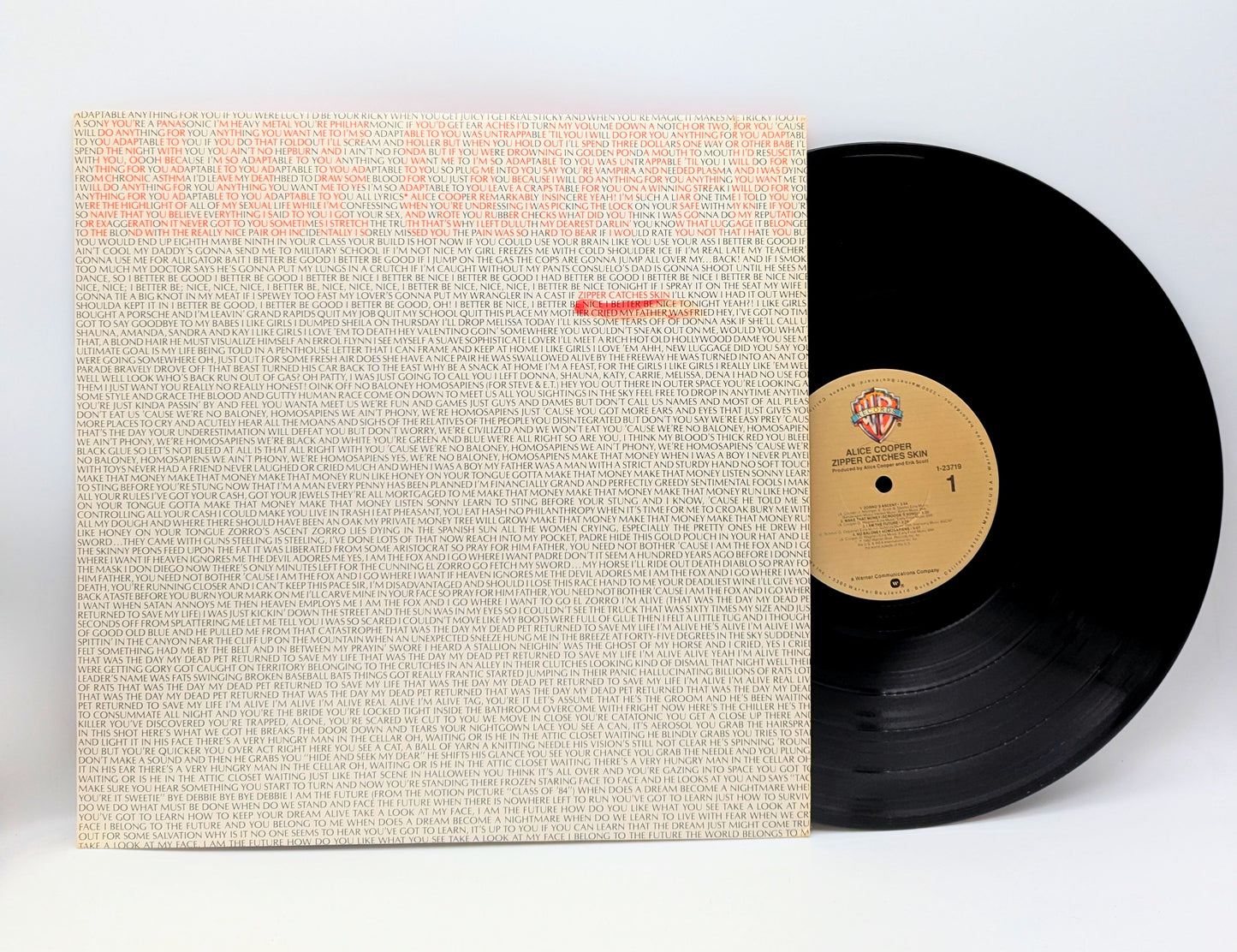 Cooper,Alice-Zipper Catches Skin (used)