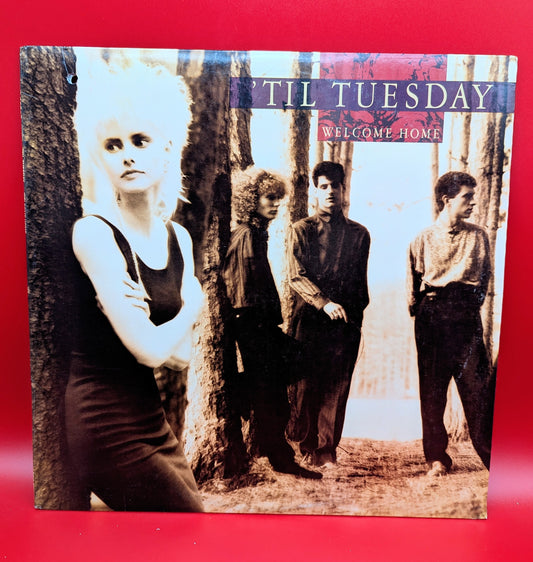 Til Tuesday-Welcome Home (used)1