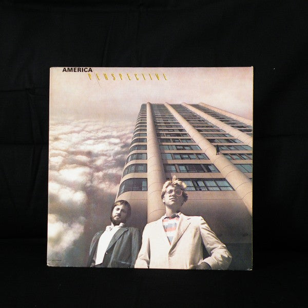 America-Perspective (used)