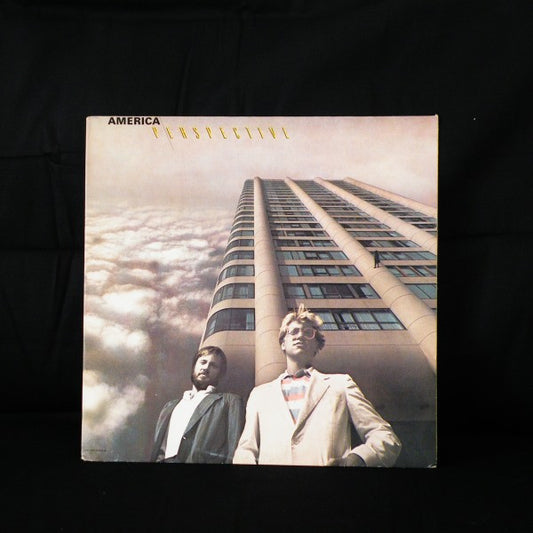 America-Perspective (used)